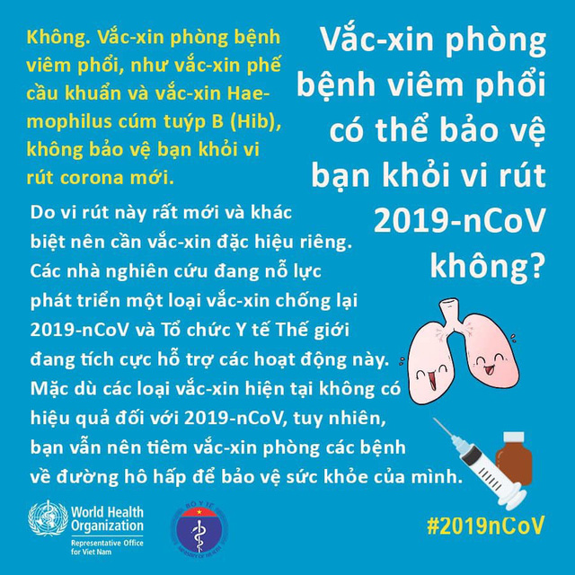 Uống bia, rượu, ăn tỏi... có phòng được nCoV? - Ảnh 2.