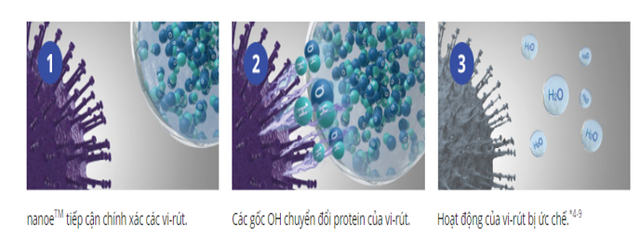 Bên cạnh 2019-nCoV, không nên chủ quan với các virus gây bệnh khác - Ảnh 1.