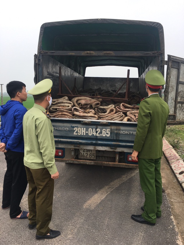 Bắc Giang: Tịch thu, tiêu hủy 2.500 kg da trâu không rõ nguồn gốc, xuất xứ - Ảnh 1.