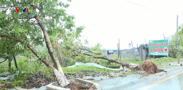 Giông lốc, mưa đá gây thiệt hại gần 14 tỷ đồng tại Sơn La, Lào Cai - Ảnh 1.