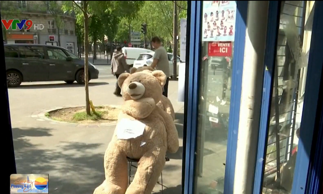 Pháp: Tiệm báo dùng gấu bông để nhắc nhở giãn cách xã hội - Ảnh 2.