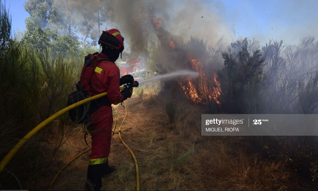 160ha rừng bị thiêu rụi tại Tây Ban Nha - Ảnh 1.