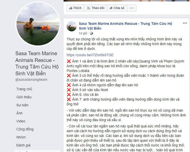 Quang Vinh, Phạm Quỳnh Anh bị chỉ trích vì ngồi trên tảng san hô sống - Ảnh 2.