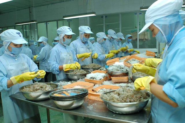 EVFTA là cơ hội khôi phục xuất khẩu hàng Việt sau đại dịch - Ảnh 1.