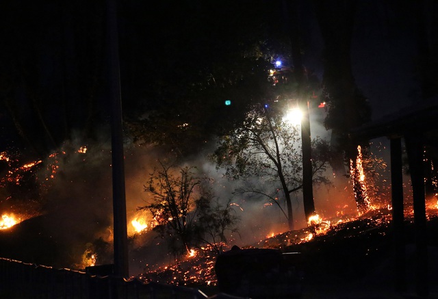 Hỏa hoạn thiêu rụi 40 ha rừng thông ở Pháp, nhiều người phải sơ tán - Ảnh 1.