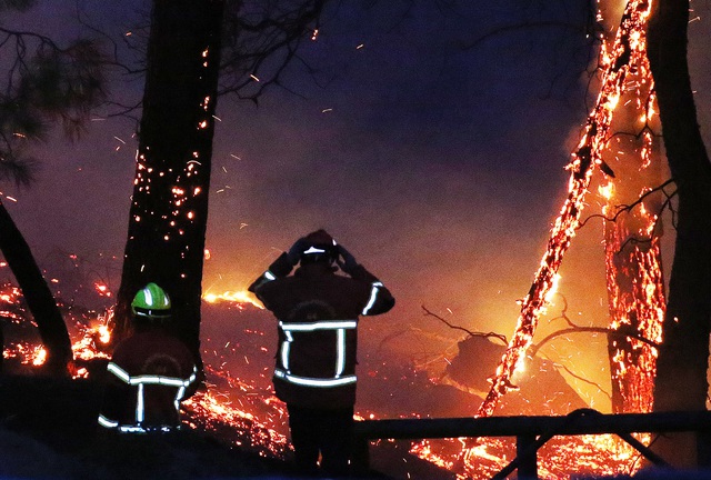 Hỏa hoạn thiêu rụi 40 ha rừng thông ở Pháp, nhiều người phải sơ tán - Ảnh 2.
