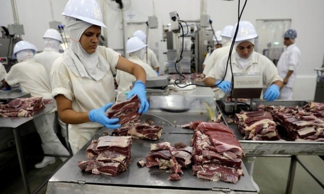 Trung Quốc tạm dừng nhập khẩu thịt lợn từ Brazil - Ảnh 1.