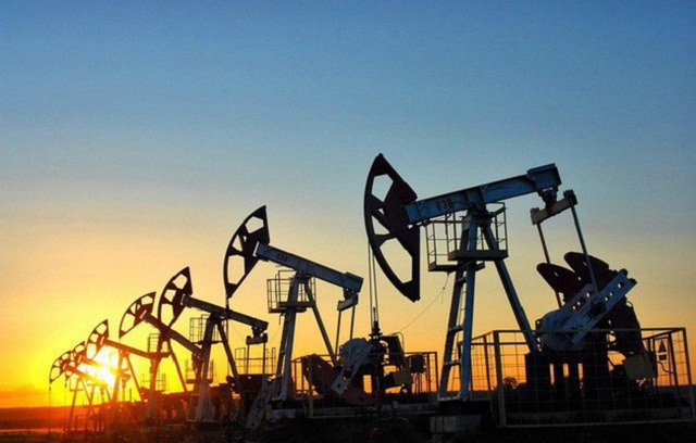 Nhu cầu dầu mỏ toàn cầu sẽ giảm 8,1 triệu thùng/ngày trong năm 2020 - Ảnh 2.