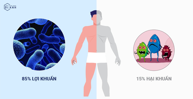 4 lợi ích bất ngờ của bào tử lợi khuẩn với sức khỏe đường hô hấp - Ảnh 1.