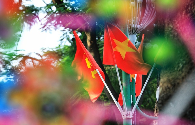 Cờ hoa: Bạn có biết cờ hoa là biểu tượng của sự đoàn kết và tình yêu đất nước không? Những gam màu sắc tươi trẻ của cờ hoa Việt Nam chắc chắn sẽ làm bạn cảm thấy sống động. Hãy xem những hình ảnh cờ hoa để tận hưởng cảm giác tự hào về quê hương.