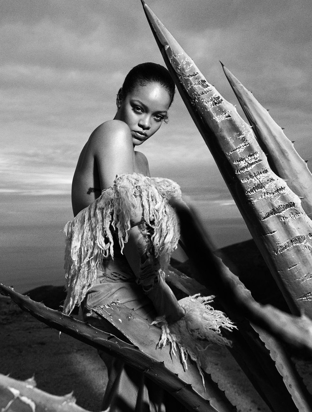 Rihanna siêu nóng bỏng trong bộ ảnh mới - Ảnh 3.