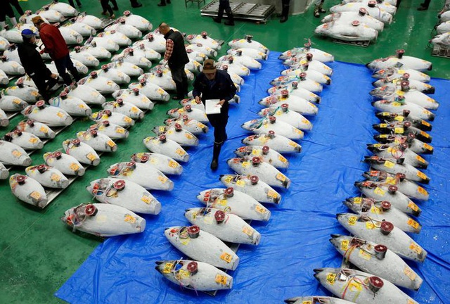 Chợ cá lớn nhất thế giới tại Nhật Bản “chật vật” tồn tại giữa đại dịch - Ảnh 2.