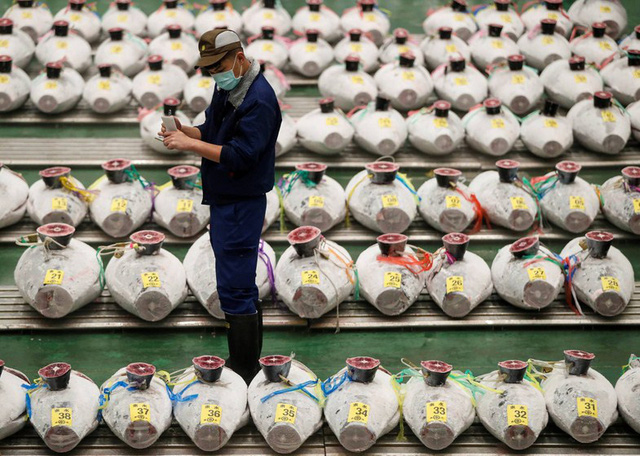 Chợ cá lớn nhất thế giới tại Nhật Bản “chật vật” tồn tại giữa đại dịch - Ảnh 1.