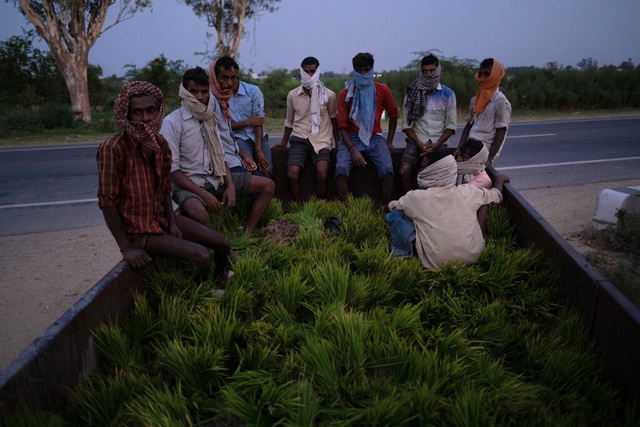 Khủng hoảng chồng khủng hoảng: Nhiều nông dân Ấn Độ tự tử trong đại dịch COVID-19 - Ảnh 2.
