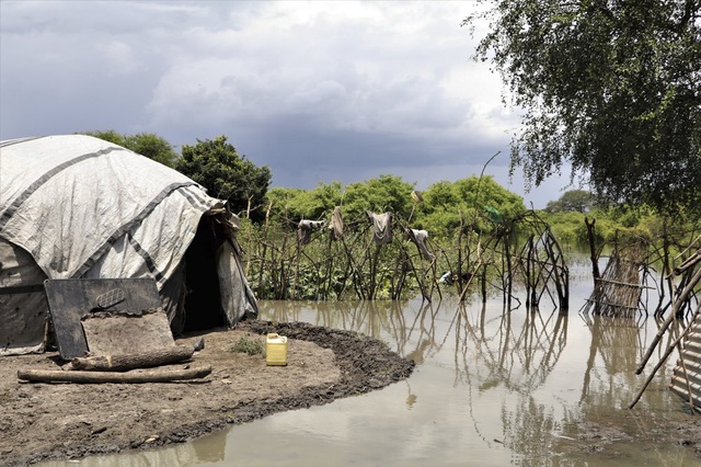 Lụt lội và bệnh dịch tàn phá Nam Sudan - Ảnh 1.