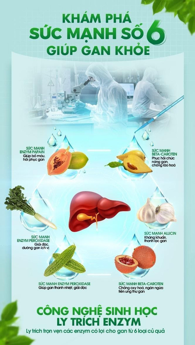 Công nghệ sinh học trong giải độc gan - Lựa chọn hiệu quả để bảo vệ sức khỏe toàn diện - Ảnh 3.