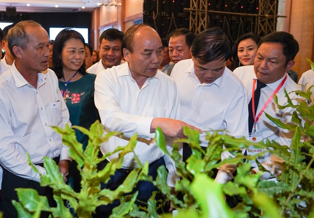 Thủ tướng Nguyễn Xuân Phúc: Mắc ca Việt Nam có thể đi sau, về trước để đứng đầu - Ảnh 3.