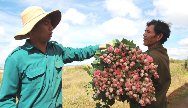 Hoa Đà Lạt cạnh tranh với hoa ngoại nhập - Ảnh 1.