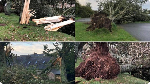 Bão Aurore gây thiệt hại nặng nề ở Pháp, Đức, Hà Lan và Bỉ - Ảnh 1.