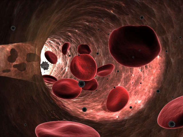 Vai trò quan trọng của tế bào hồng cầu trong hệ thống miễn dịch của con người - Ảnh 1.