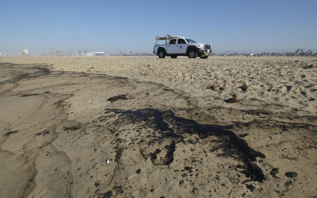 Tràn dầu nghiêm trọng ngoài khơi California, cá và chim chết trôi dạt vào bãi biển Huntington - Ảnh 3.