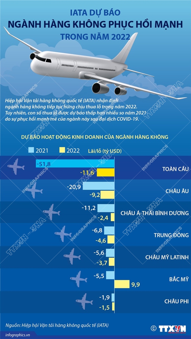 IATA dự báo ngành hàng không phục hồi mạnh trong năm 2022 - Ảnh 1.