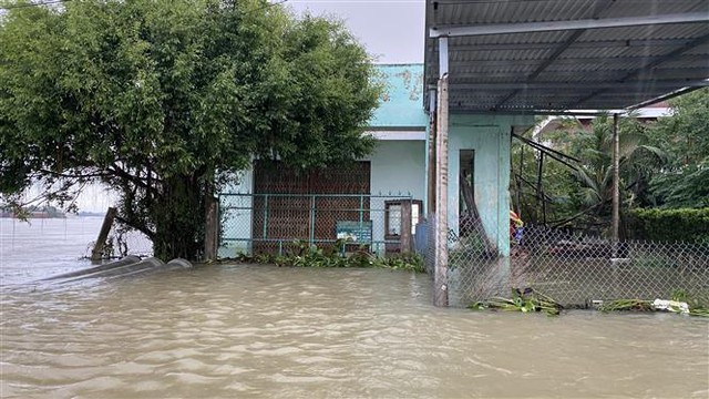 Mưa lớn tiếp tục gây ngập lụt, sạt lở tại Bình Định - Ảnh 1.