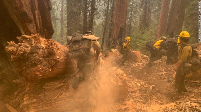 Cháy rừng bùng phát tại California thiêu rụi hàng nghìn cây cự sam khổng lồ - Ảnh 2.