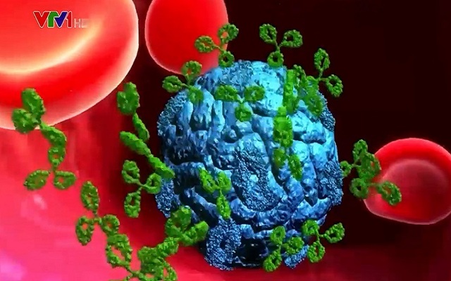 Sử dụng khẩn cấp kháng thể JS016 tấn công chính xác virus SARS-CoV-2 - Ảnh 1.