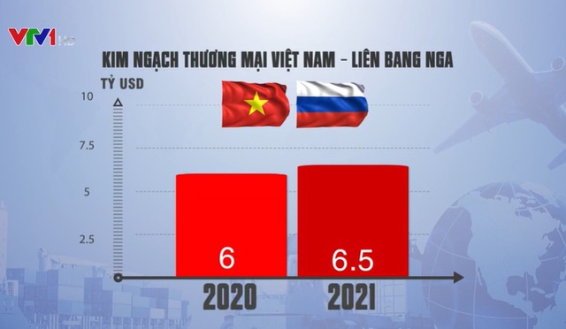 Tạo đột phá cho quan hệ Việt Nam - Liên bang Nga - Ảnh 1.