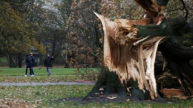 Bão Arwen tại Anh: 3 người thiệt mạng do cây đổ, cảnh báo mưa tuyết vẫn được duy trì - Ảnh 2.