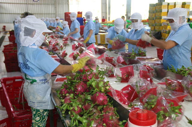 Trung Quốc không còn là thị trường dễ tính của nông sản Việt - Ảnh 1.
