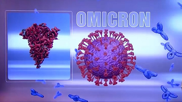 Mỹ phát hiện ca mắc biến thể Omicron đầu tiên tại bang California - Ảnh 1.