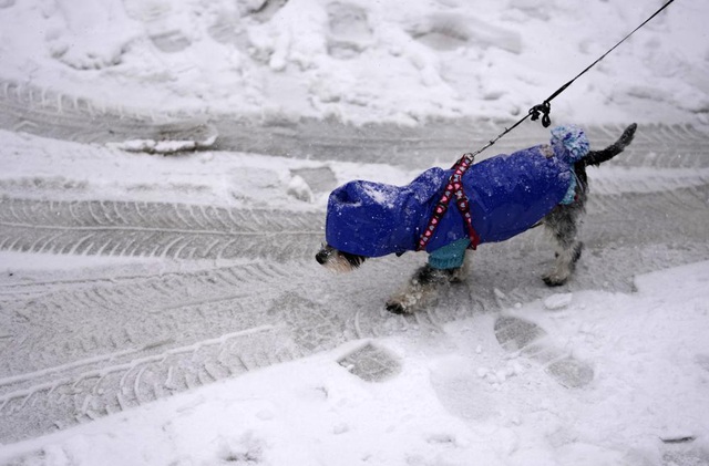 Tuyết rơi dày gây nhiều thiệt hại ở Serbia và phần lớn vùng Balkan - Ảnh 5.