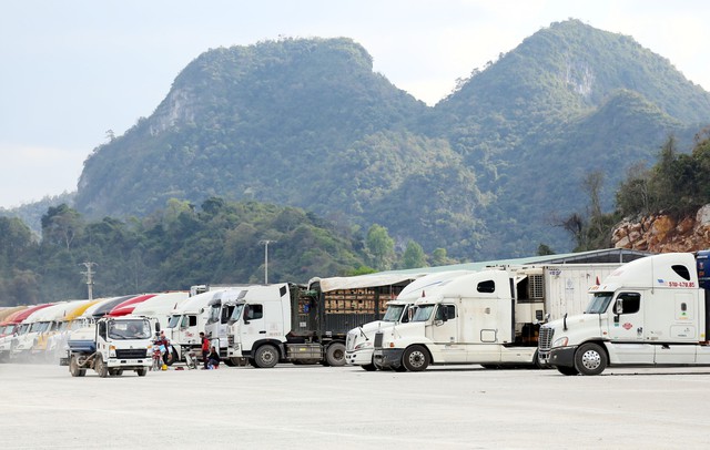 Hơn 5.000 container nông sản “tắc đường” tại Lạng Sơn - Ảnh 1.