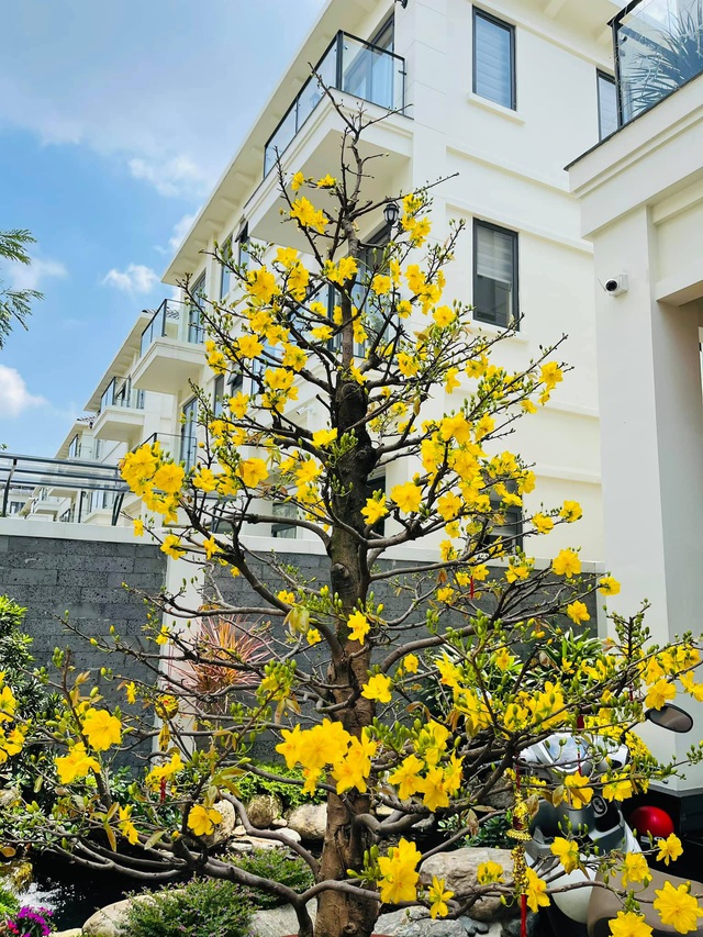 Loạt hoa khoe sắc trong biệt thự tiền tỷ của Thanh Vân Hugo - Ảnh 7.