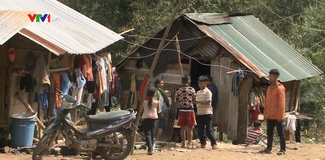 Tết của người dân vùng sạt lở ở vùng núi tỉnh Quảng Ngãi - Ảnh 1.