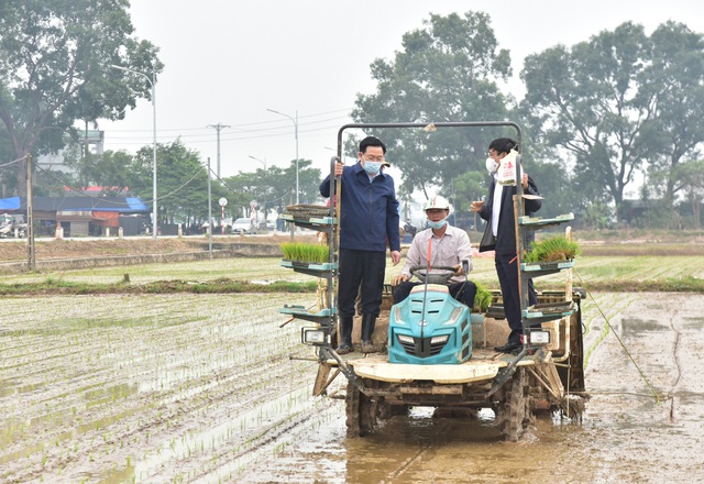 Bí thư và Chủ tịch TP Hà Nội xuống đồng động viên nông dân sản xuất - Ảnh 2.
