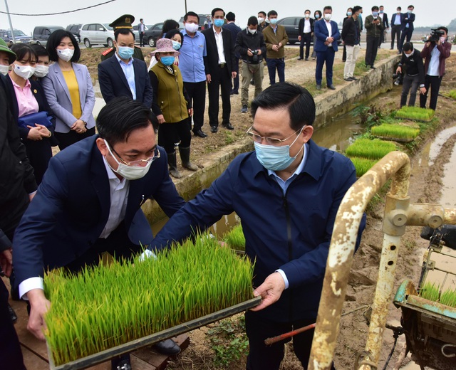 Bí thư và Chủ tịch TP Hà Nội xuống đồng động viên nông dân sản xuất - Ảnh 3.
