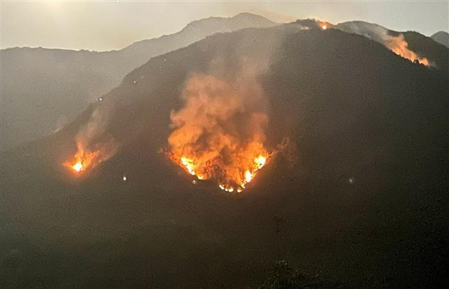 Cháy rừng do đốt cây bụi để làm nương, gần 1.000 người tham gia cứu hộ - Ảnh 2.