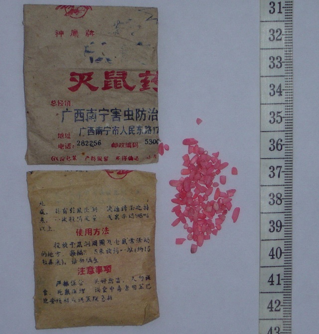 Cấp cứu bệnh nhân ngộ độc thuốc diệt chuột Trung Quốc đã bị cấm 20 năm trước - Ảnh 2.