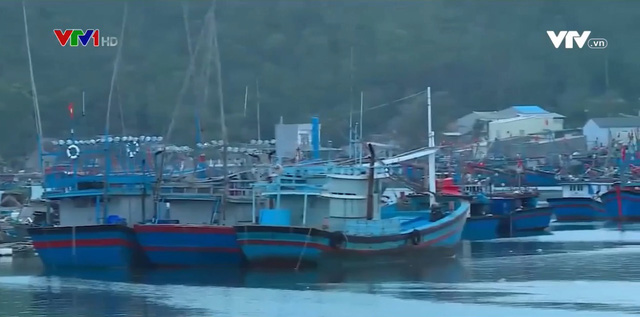 Bất tiện với tàu cá xa bờ khi cập cảng Sa Huỳnh - Ảnh 1.