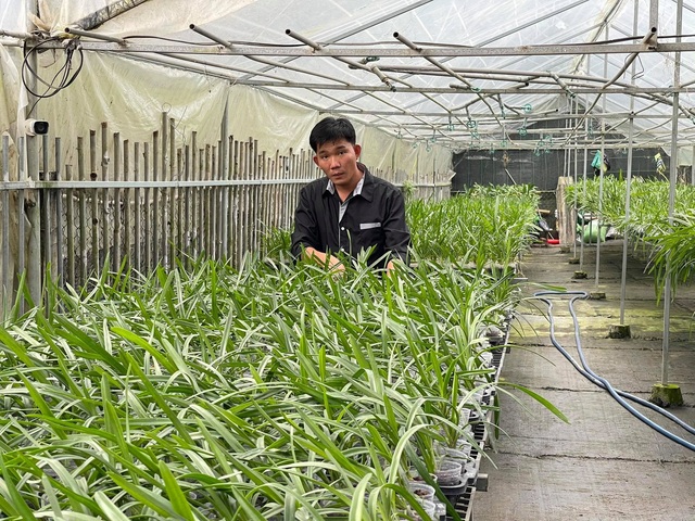 Trương Tuấn Anh chia sẻ bí kíp để thành công trong nuôi trồng hoa lan - Ảnh 4.