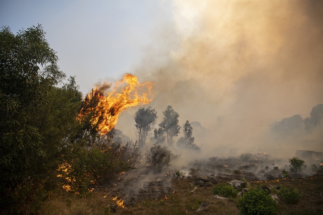 Nỗ lực dập tắt đám cháy rừng nghiêm trọng tại thành phố Cape Town, Nam Phi - Ảnh 1.