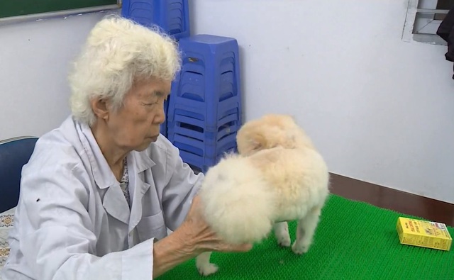 Cụ bà gần 90 tuổi làm phòng khám thú y miễn phí trong suốt 9 năm - Ảnh 1.