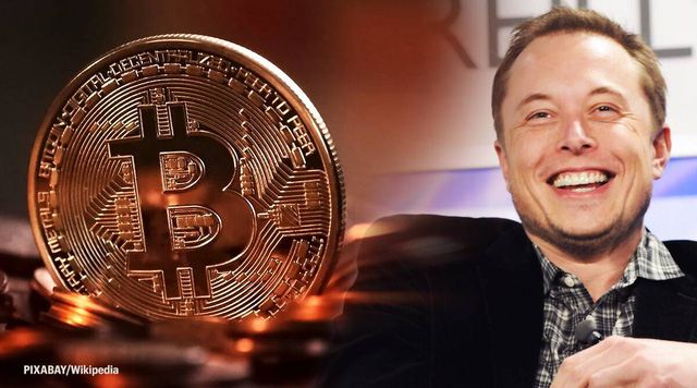 Elon Musk nói không bán Bitcoin - Ảnh 3.