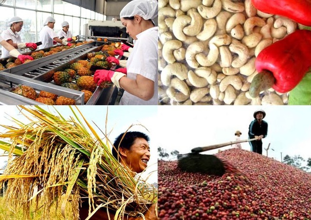 Xuất khẩu nông sản tăng trưởng ấn tượng 5 tháng đầu năm - Ảnh 1.
