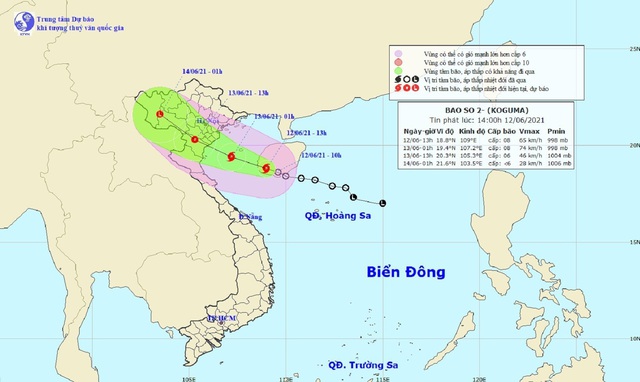 Thái Bình, Nam Định kêu gọi tàu thuyền vào nơi tránh trú bão số 2 - Ảnh 1.