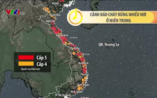 Nắng nóng liên tục, Đà Nẵng dự báo cháy rừng ở cấp cực kỳ nguy hiểm - Ảnh 2.