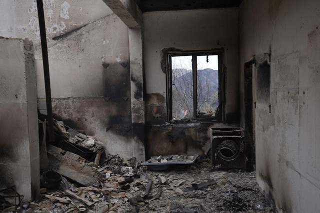 Cháy rừng nghiêm trọng nhất từ trước tới nay ở CH Cyprus, 4 người thiệt mạng - Ảnh 2.